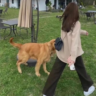 风吹过的星星